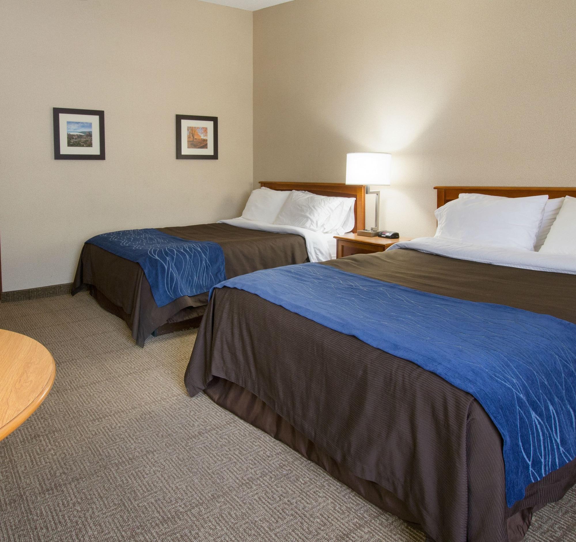 Comfort Inn & Suites Syracuse-Carrier Circle East Syracuse Esterno foto