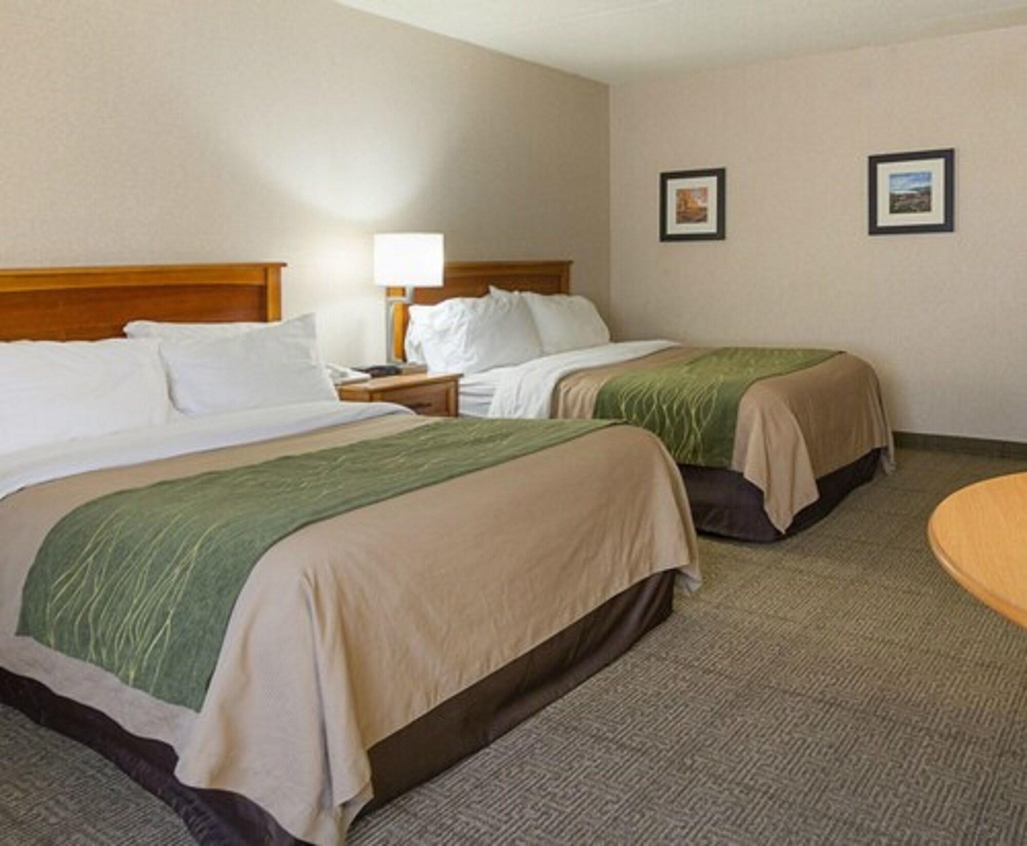 Comfort Inn & Suites Syracuse-Carrier Circle East Syracuse Esterno foto