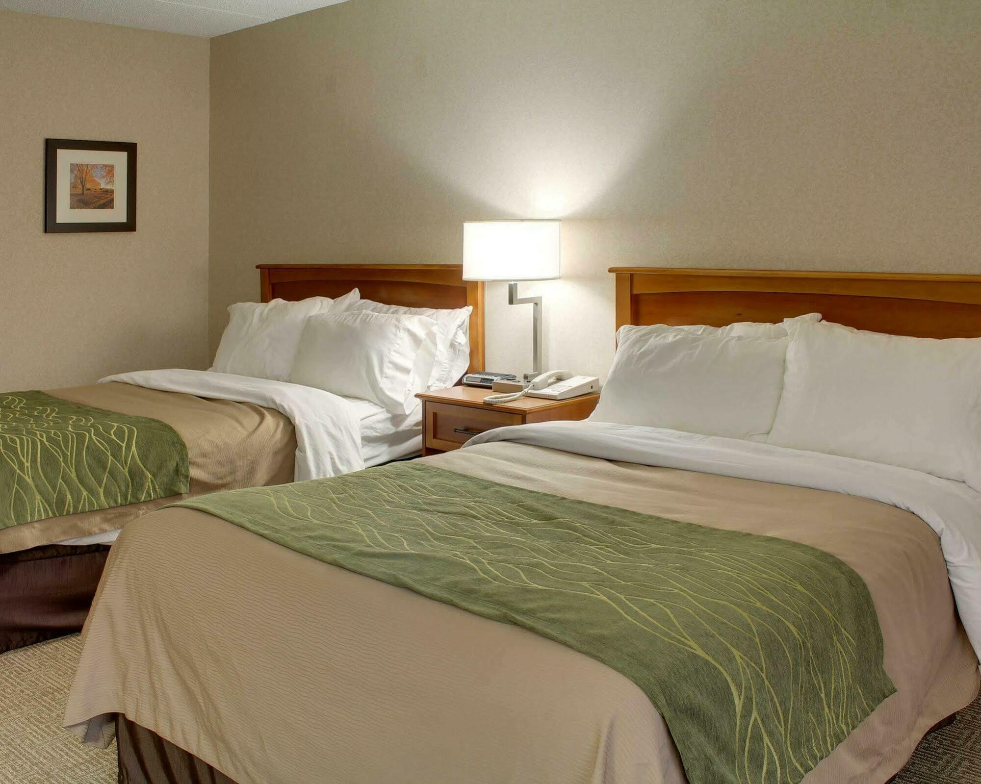 Comfort Inn & Suites Syracuse-Carrier Circle East Syracuse Esterno foto